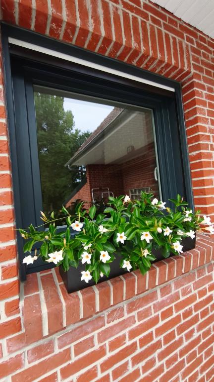 Fenêtres à Béthune, Hazebrouck et Aire-sur-la-Lys : quels critères choisir pour améliorer le confort thermique de votre maison ?